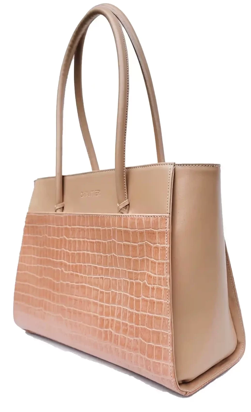 Bolso Dani
