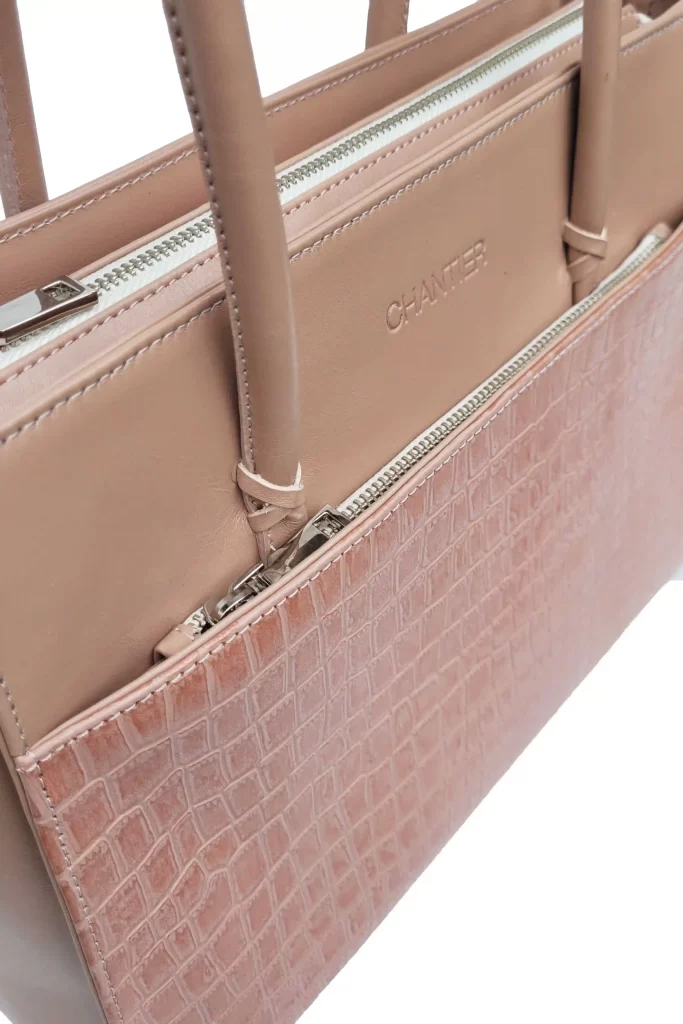 Bolso Dani