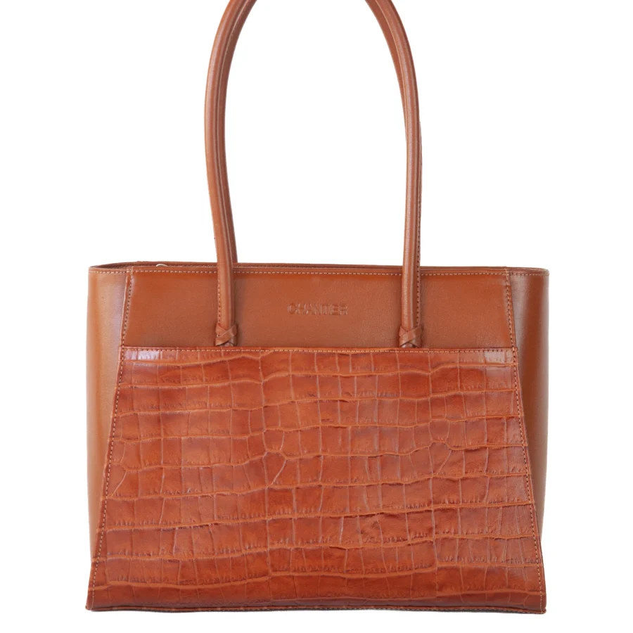 Bolso Dani