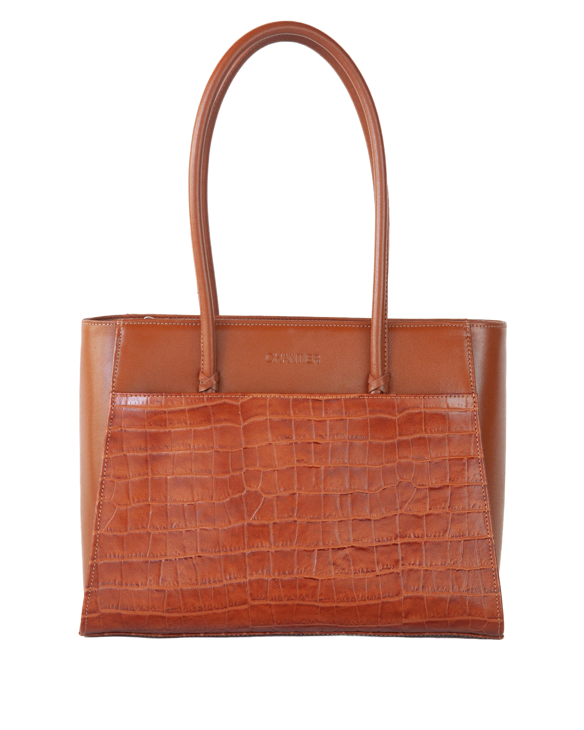 Bolso Dani